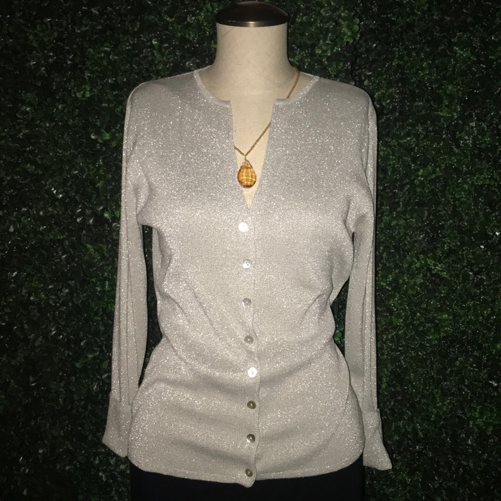 EURO-X 82%silk silver 18%metallic sweater.